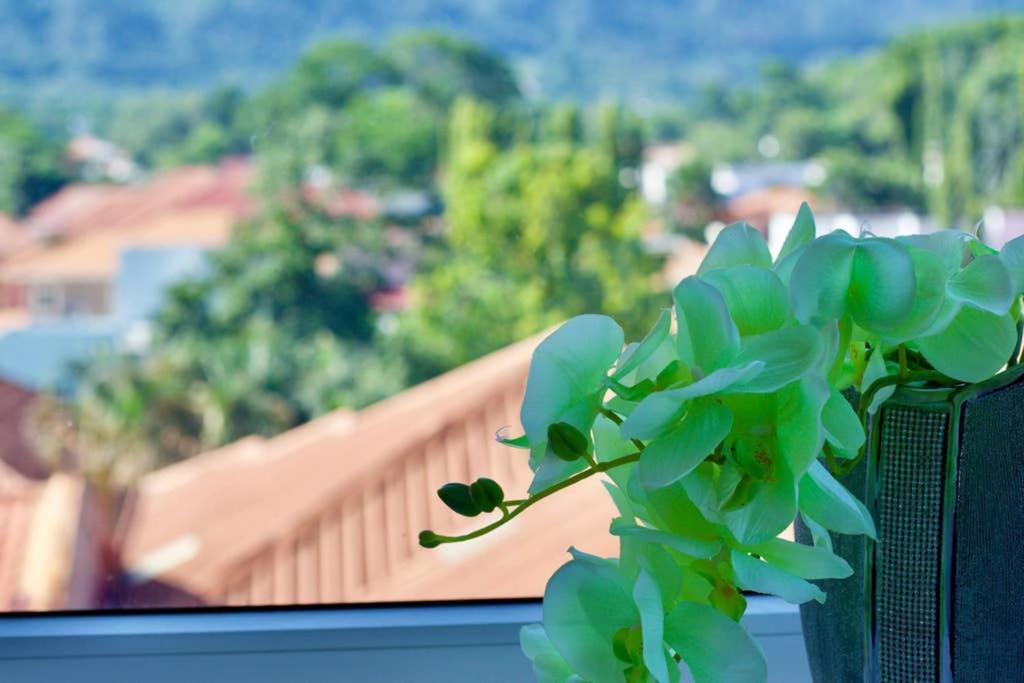 Lujoso Y Acogedor Condominio Ejecutivo/Familiar San Pedro Sula Eksteriør bilde